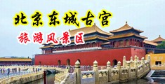 我要看操逼中国北京-东城古宫旅游风景区