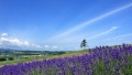 大屌天天骚逼日本一地6日游  境外旅游 6880元/人
